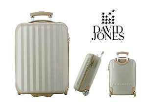 david-jones-rigide-bagage-cabine