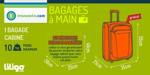 bagagemain